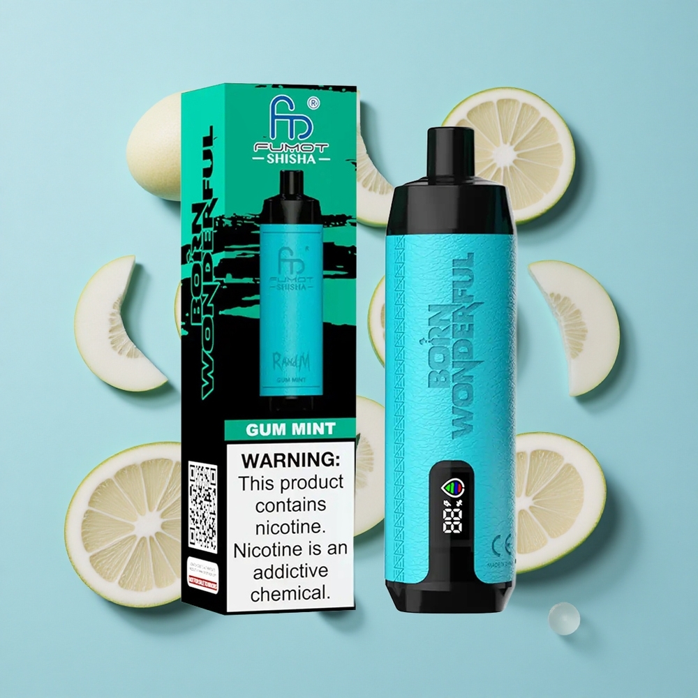 RandM Fumot Shisha 10000 Пуфове Дъвка Мента Еднократна вейп LED Индикатор Type-C Порт